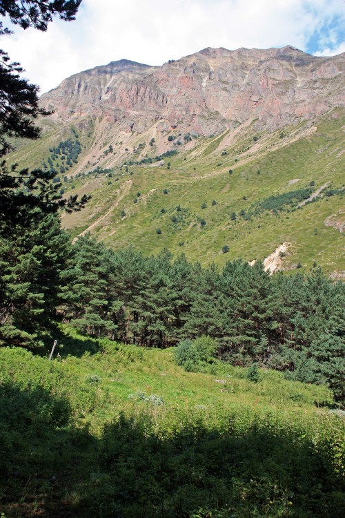 IMG_1965.JPG