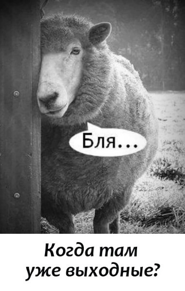 изображение_2024-12-13_144558.png