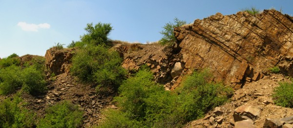 Панорама 529.JPG