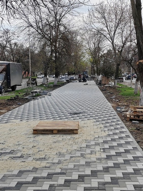 аллея кр сп.jpg
