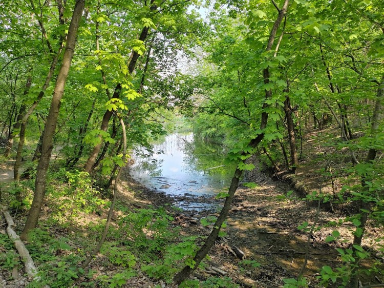 роща 6.5. 25 3.jpg