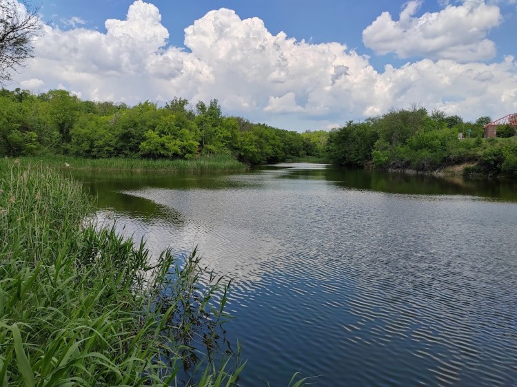 пруд 22.5.25 1.jpg