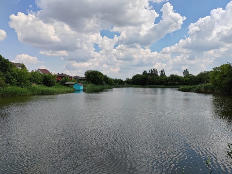 пруд 22.5.25. 2.jpg