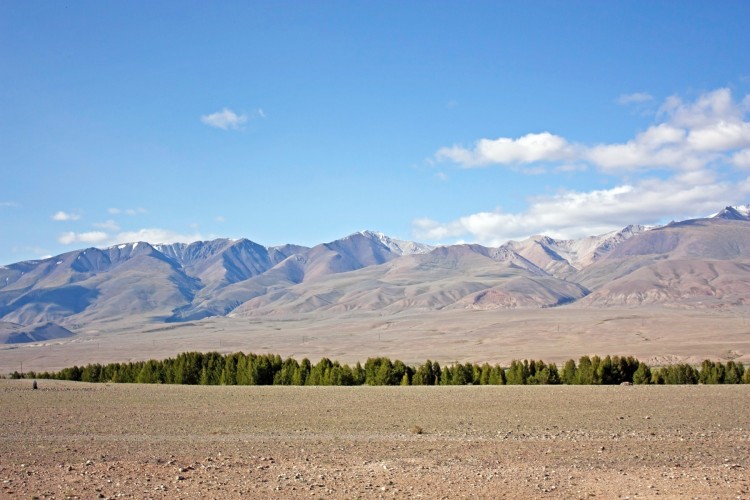 105.jpg