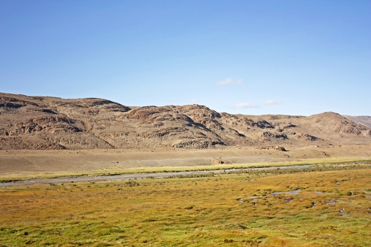 123.jpg