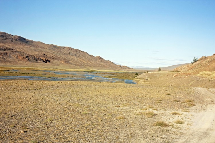 131.jpg