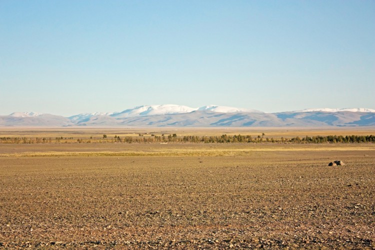 148.jpg