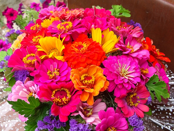 DSCF7441.jpg
