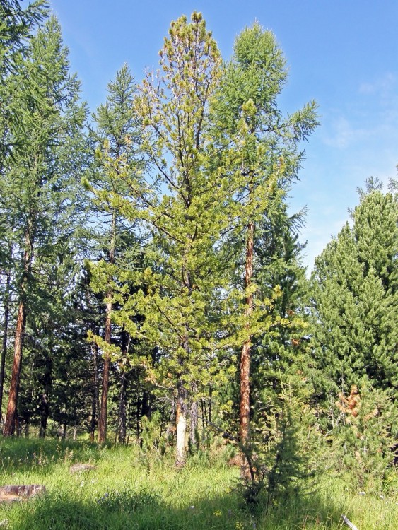 27 P8050231.JPG