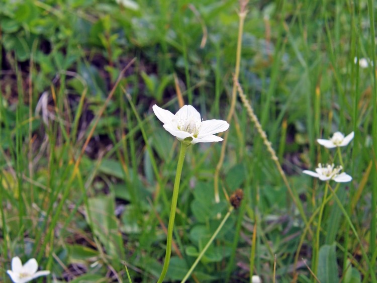 23 P8060284.JPG