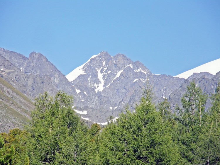 33 P8060301.JPG