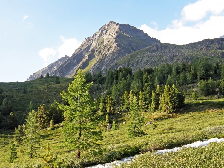51 P8060327.JPG
