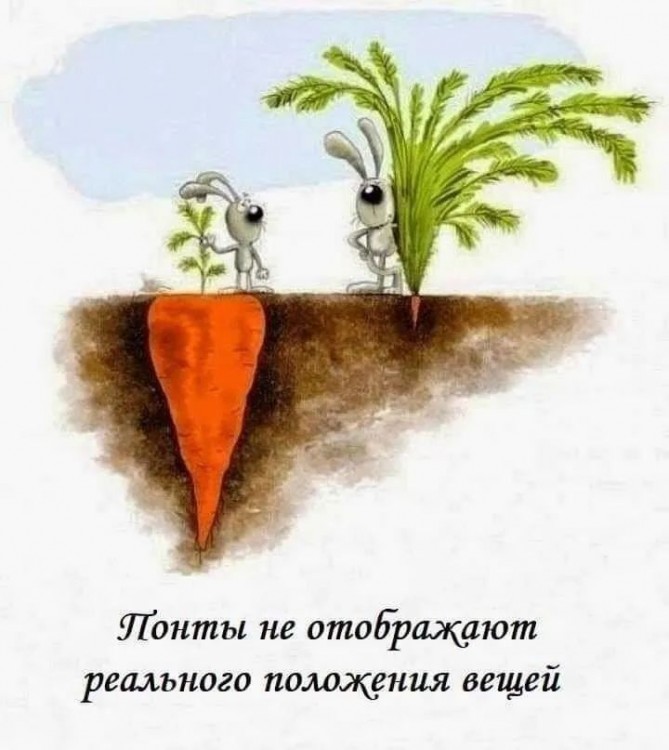 Морк.jpeg