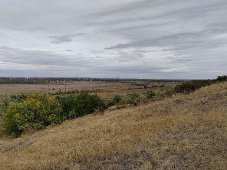 пойма туз 3.jpg