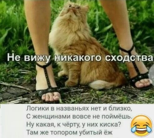 изображение_2025-10-13_221910.png