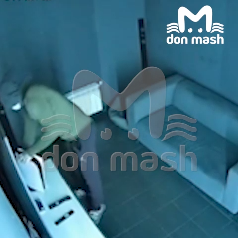 изображение_2025-10-22_172912.png