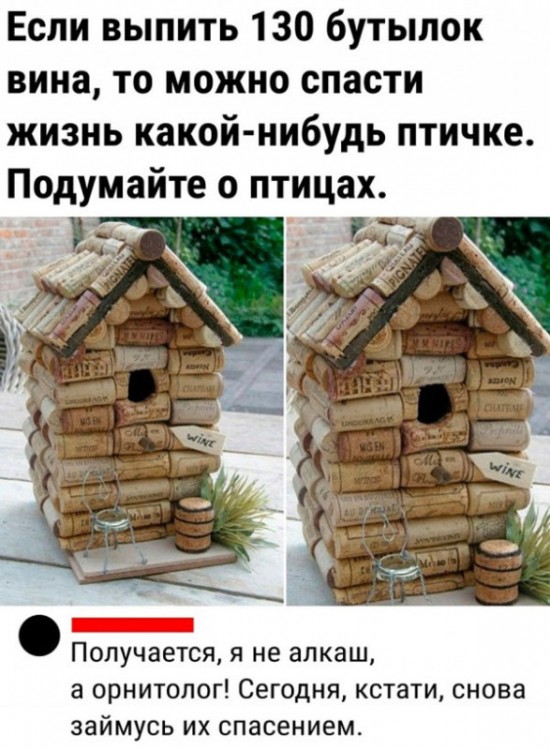 130.jpg