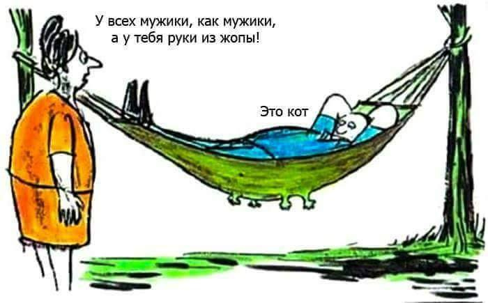 Кот.jpg