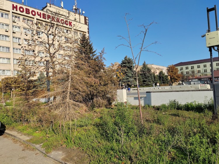 гн 4.jpg