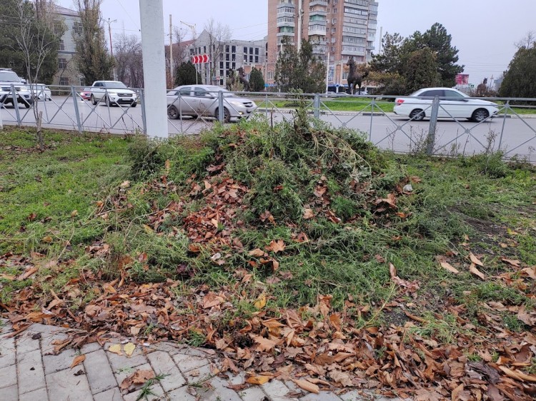 гн1.jpg
