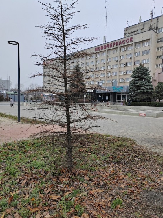 гн4.jpg
