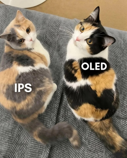 OLED.png