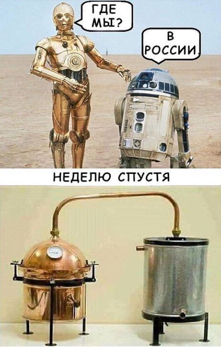 R2.jpg