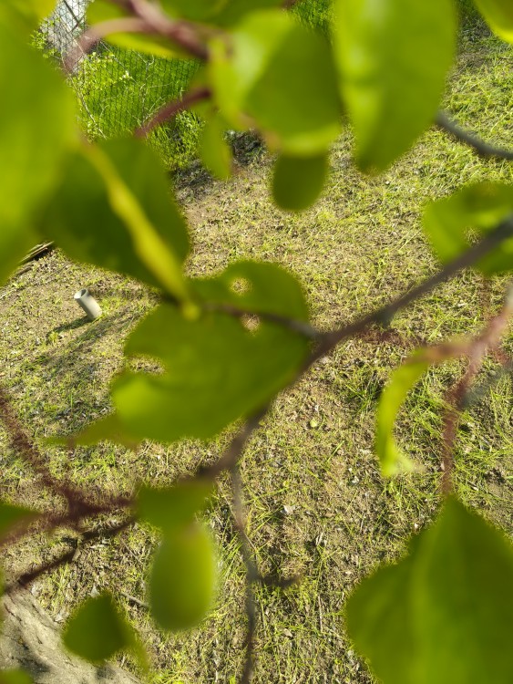 IMG20260508170426.jpg