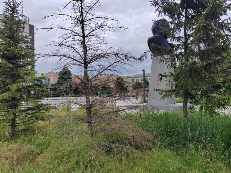 гн 5.jpg