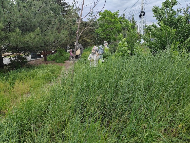 гн 6.jpg