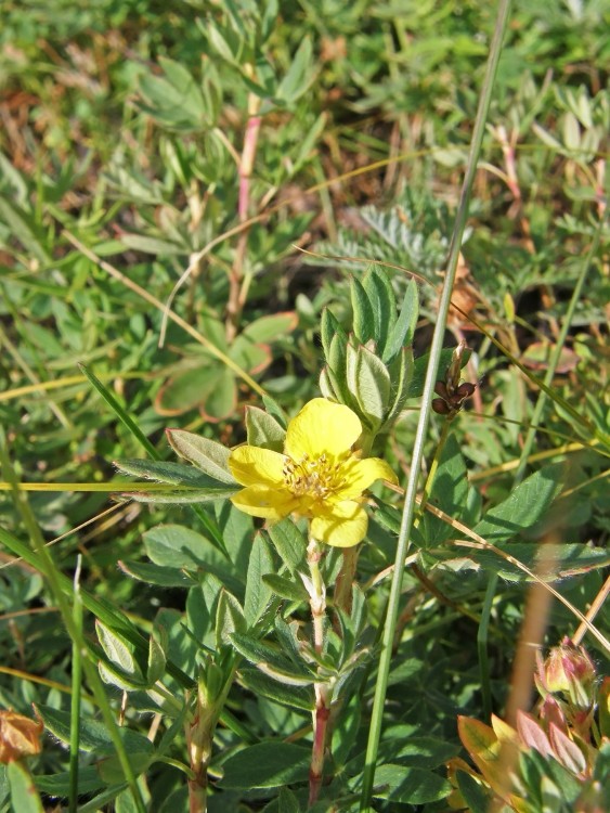 10 P8191334.JPG