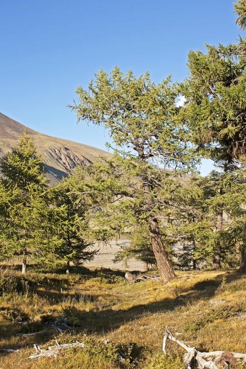 160.jpg