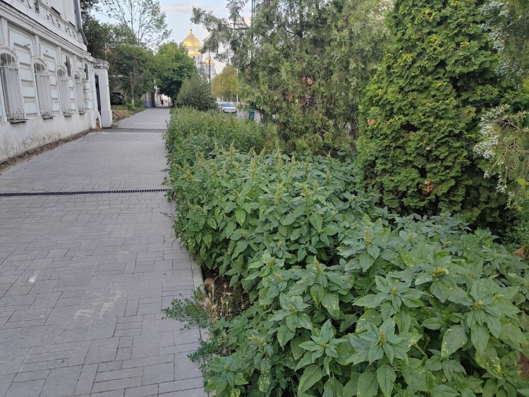 пл г 4.jpg