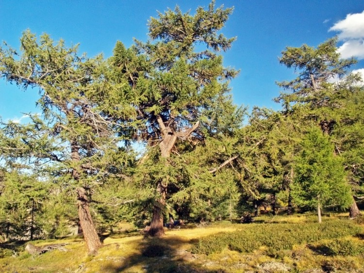 001 P1014976.JPG