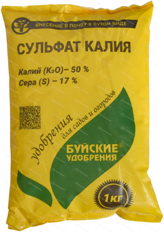 изображение_2026-07-25_112824783.png