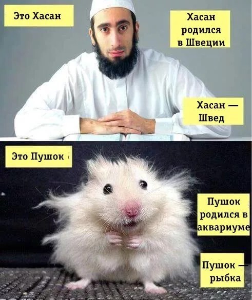 Хасан.jpg