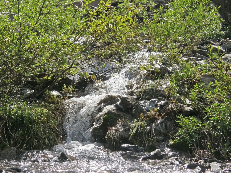 35 P8220240.JPG