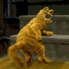 ngkj.gif