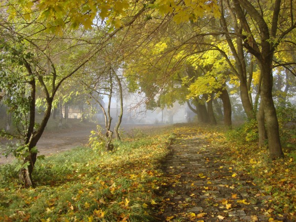 img-56787.jpg