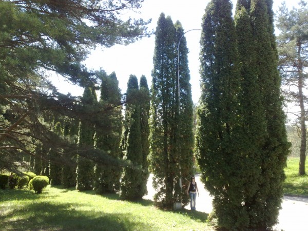 08052010030.jpg