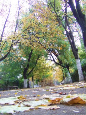 atamanskaya2.jpg