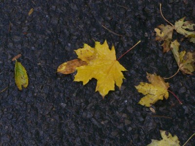 100_5438.jpg
