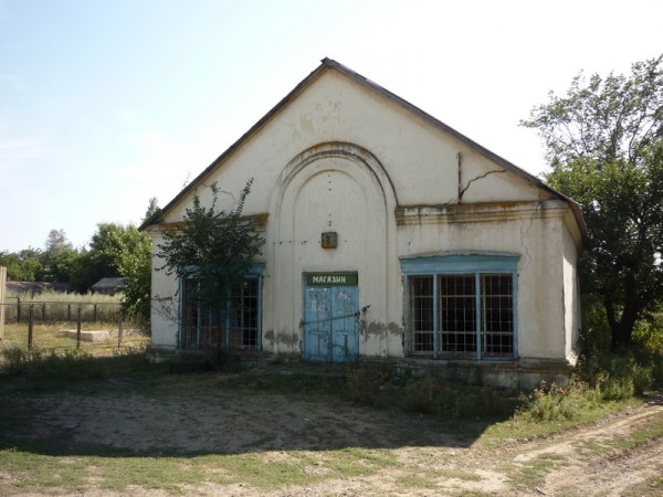 P1180555.jpg