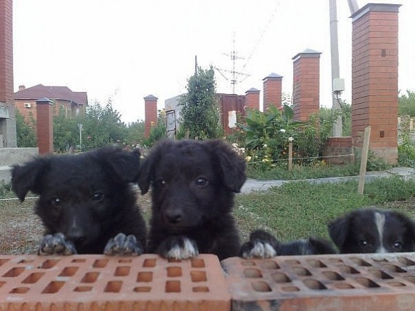 x_4fdc84ee.jpg