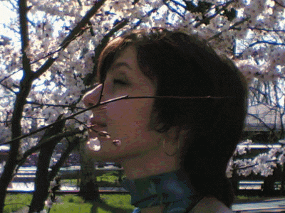 02.gif