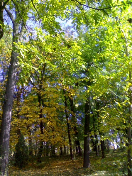 21102010167-001.jpg