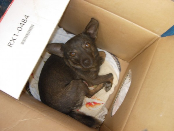 DSCN4180.JPG