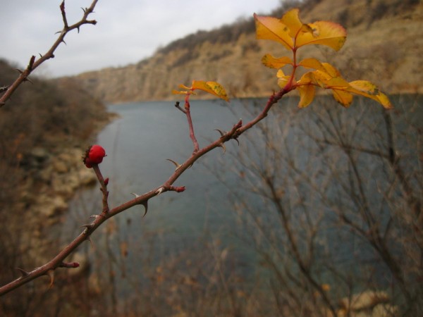 IMG_5743.JPG