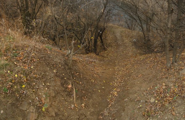 Панорама 626.JPG