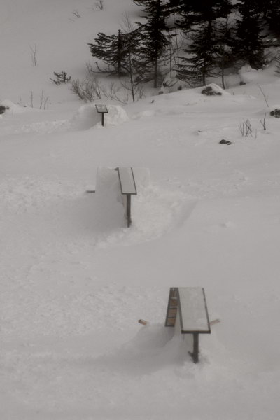 _DSC9747.JPG